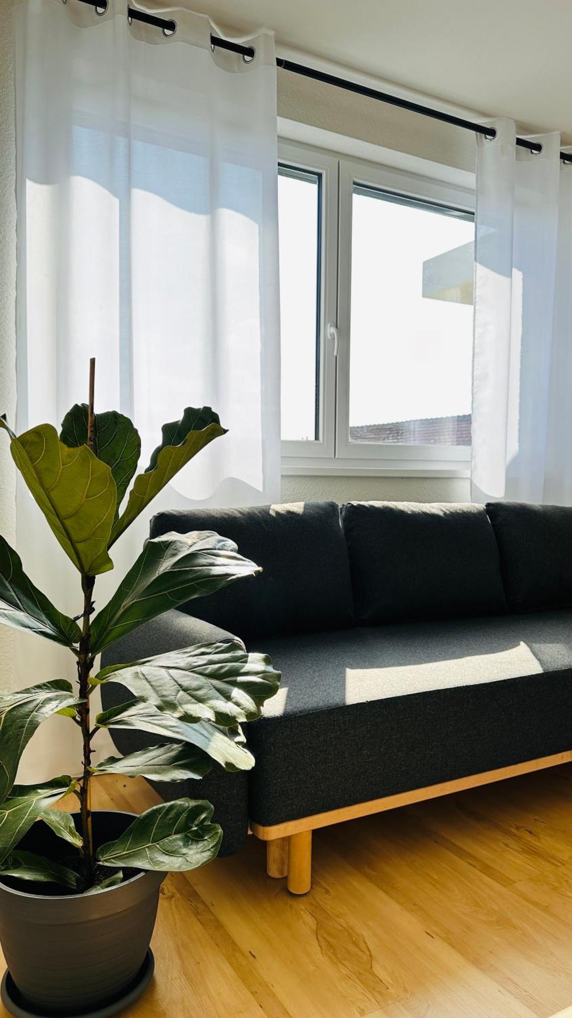 Amao-Sepia I 86Qm I King-Size Beds I Netflix I Privat Balcony I Free Parking I Near Europapark Apartman Rheinhausen Kültér fotó